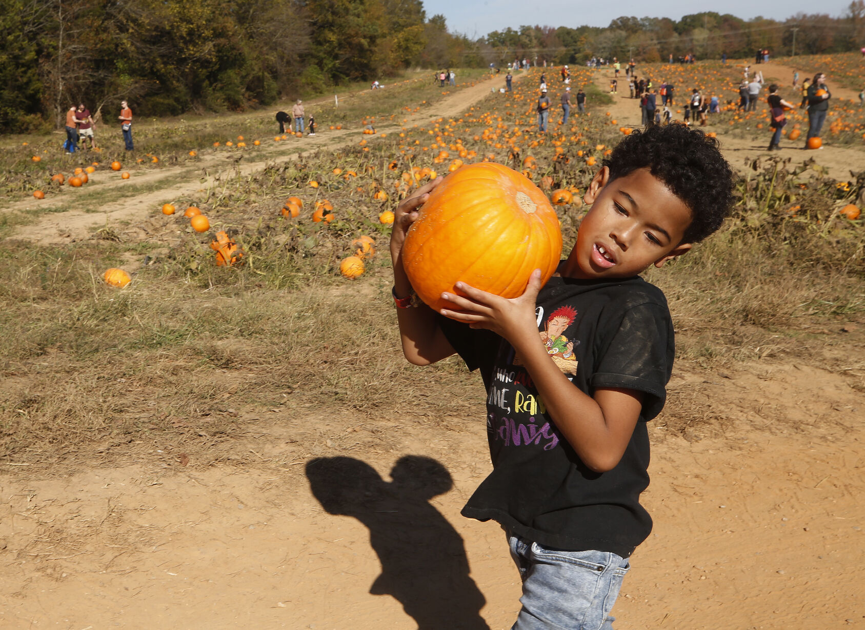 20221023_MET_PUMPKIN_AWE03